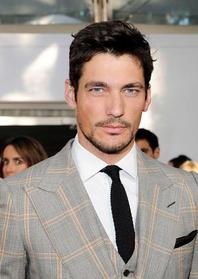 David Gandy